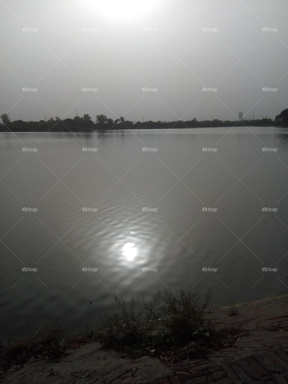 Beautiful reflection of The Sun in the lake of Bathinda.