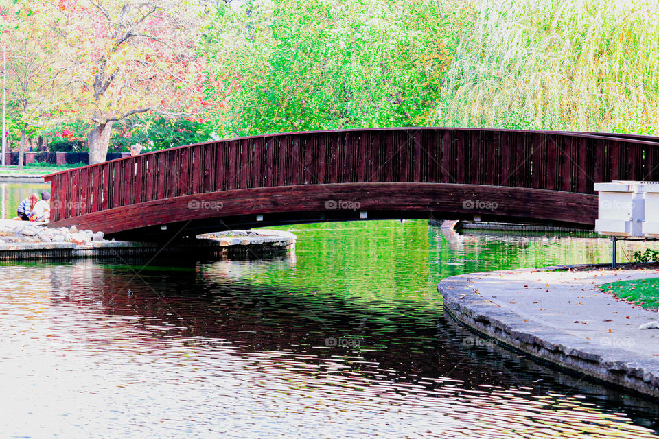 bridge over a pond in a park