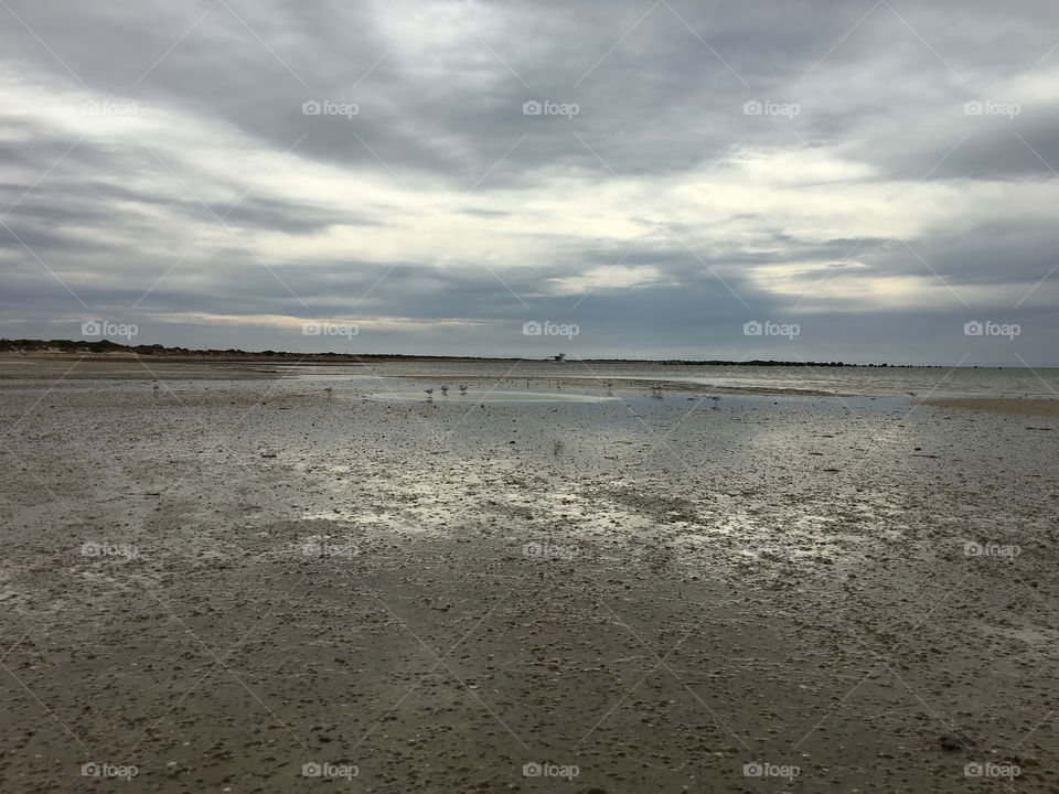 Cloud reflections on ocean beach st low tide 