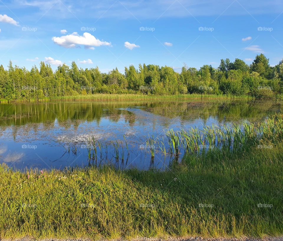 Beautiful green landscape outside the town. Nice walk with a friend on a warm summer evening.