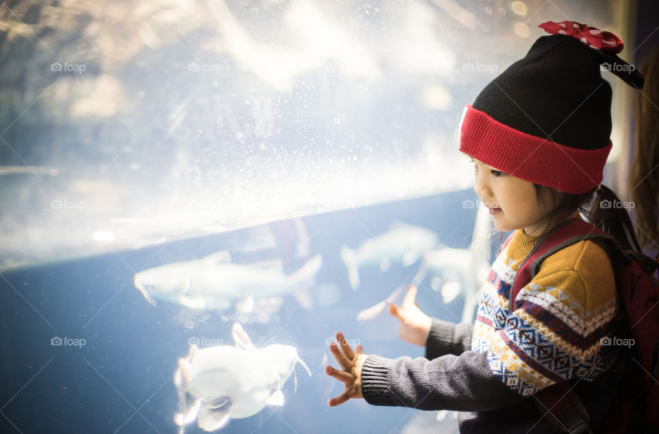 Japanese girl looking at fish tank