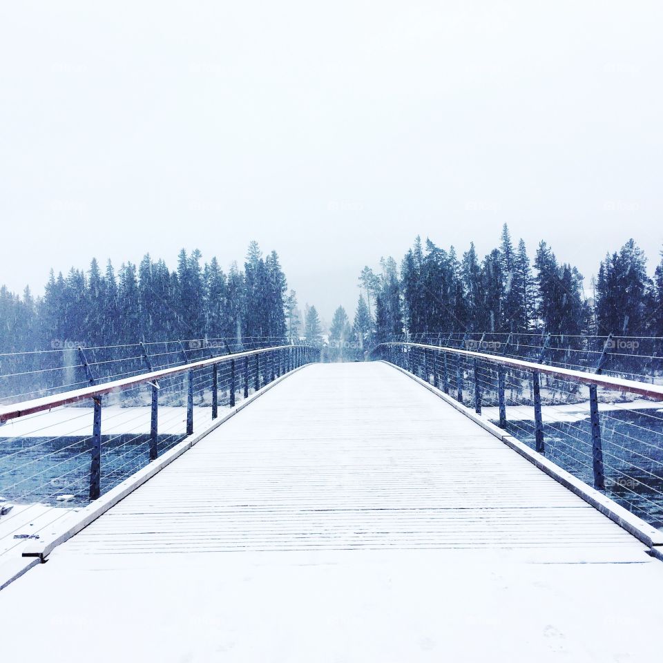  Banff Snowfall 