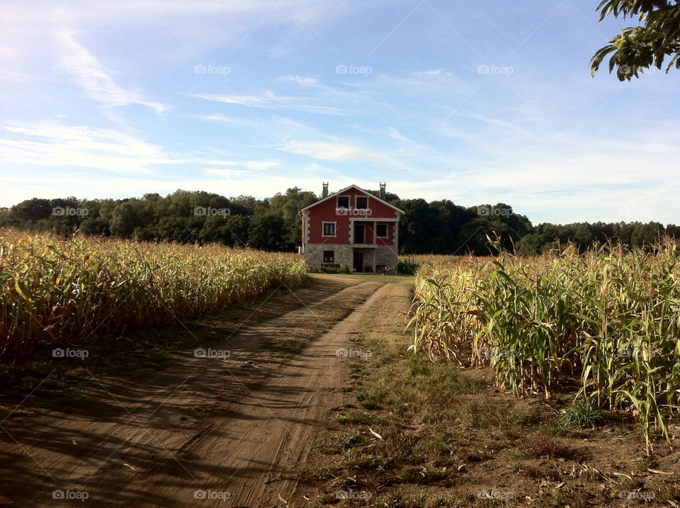 house corn field spain by biedert