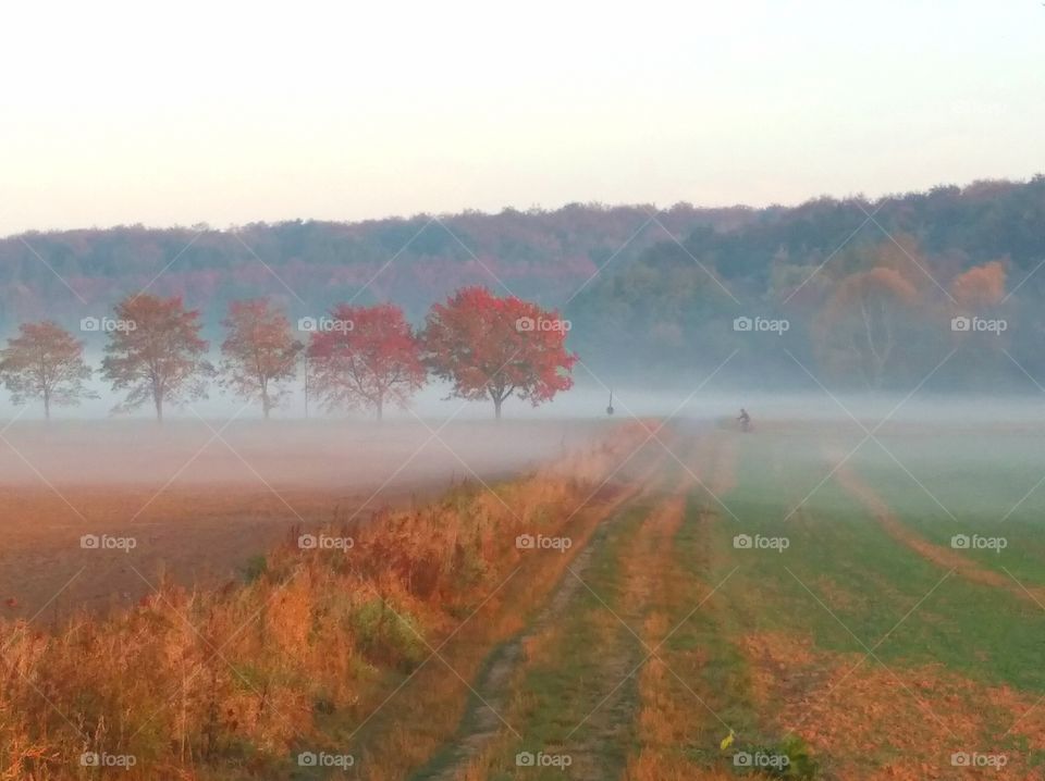 Moods of autum