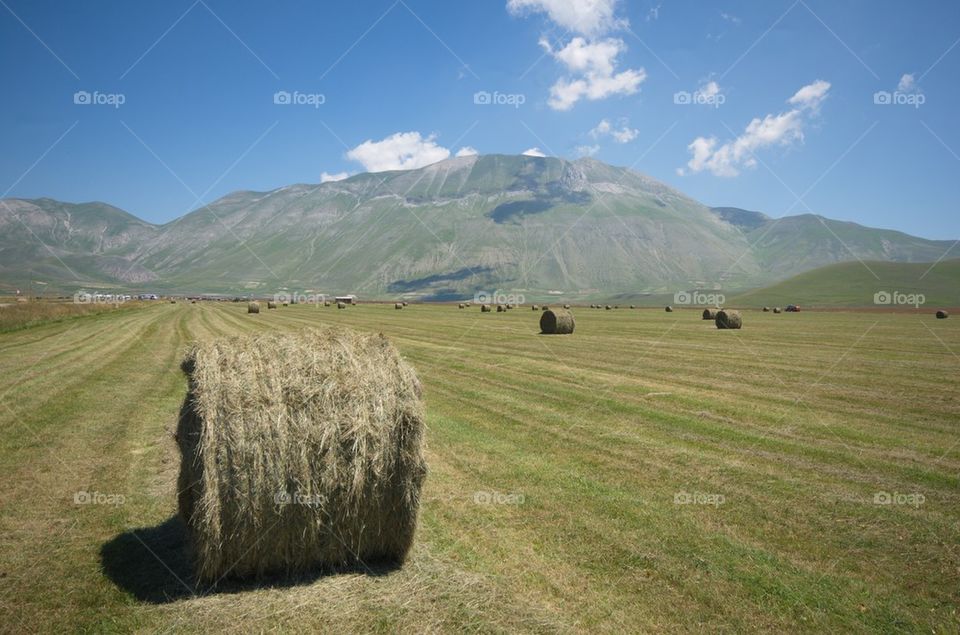 Hay bale on landscape