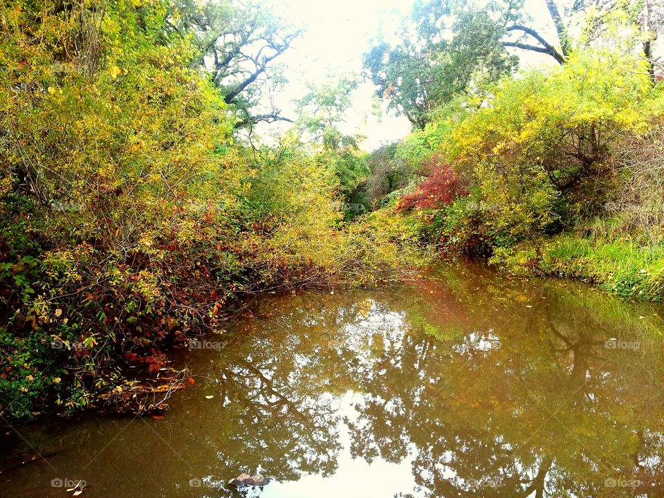 Somewhere in Sonoma, Ca.