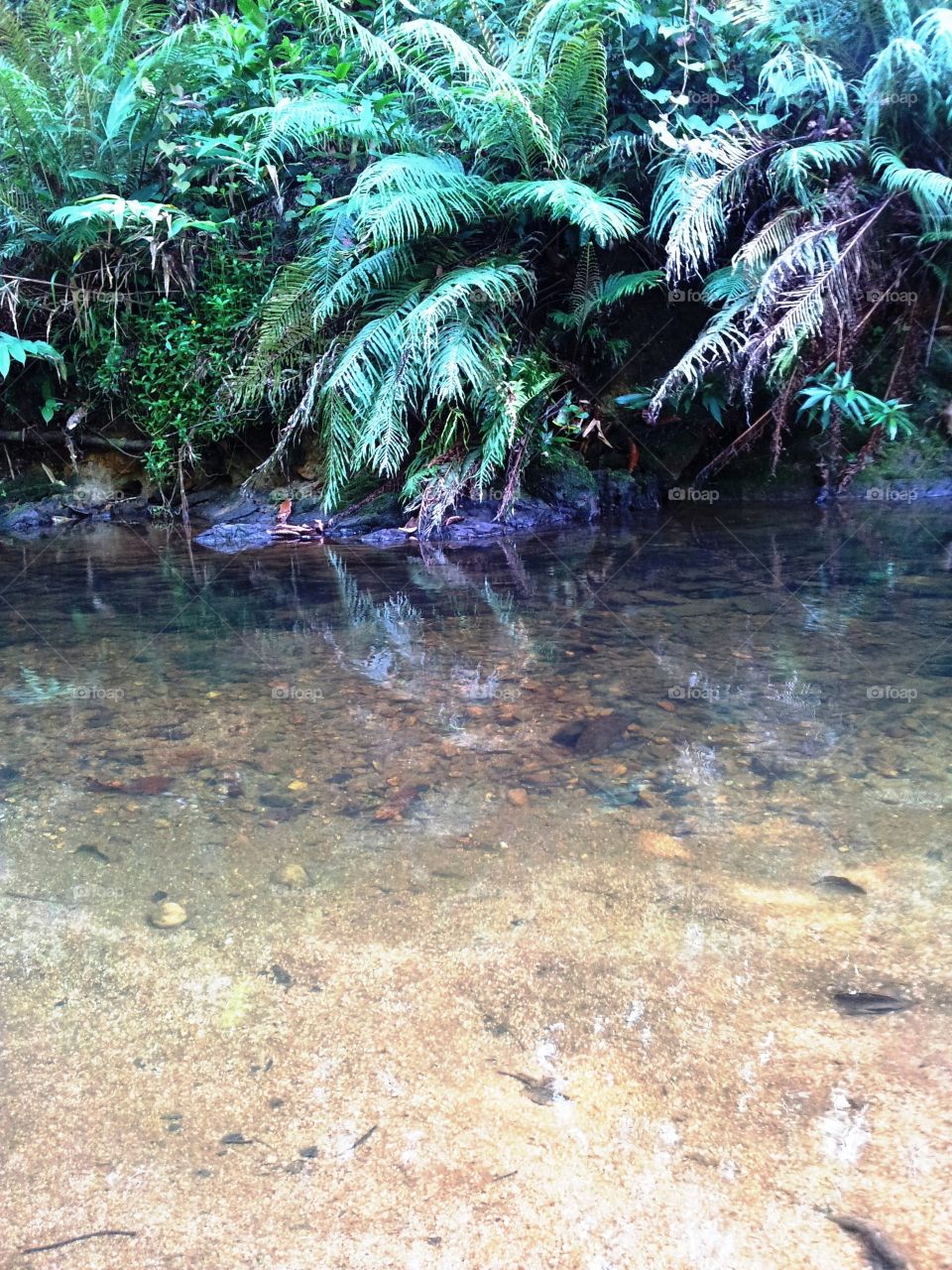 the calmness of water flow