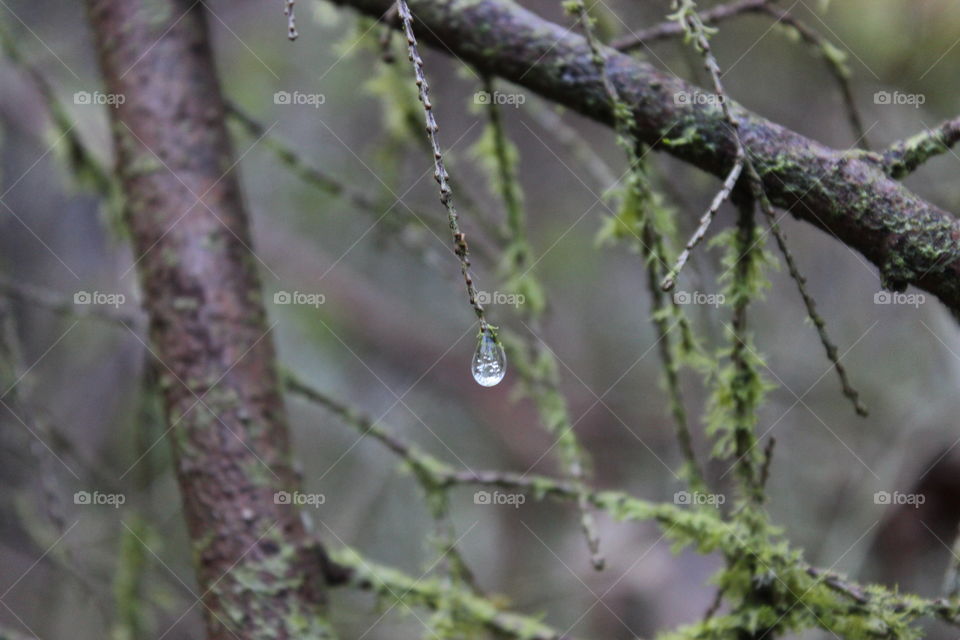 Frozen water droplets 