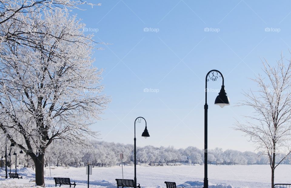 Gorgeous wintry day with frost covering everything it can land on. Beautiful blue sky too. 