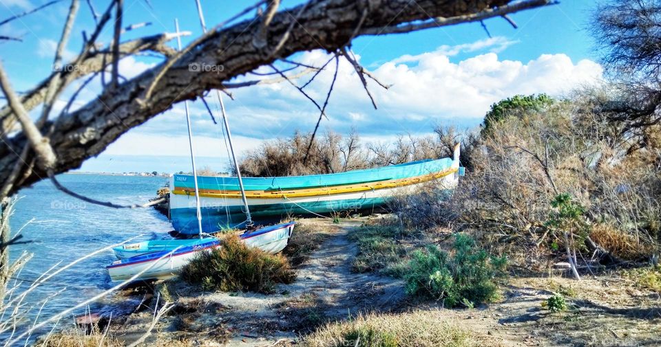 Boat behind the tree