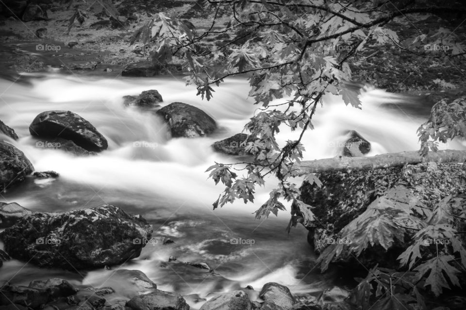 Bkack Slice. at the beautiful Snoqualmie Falls in Washington State