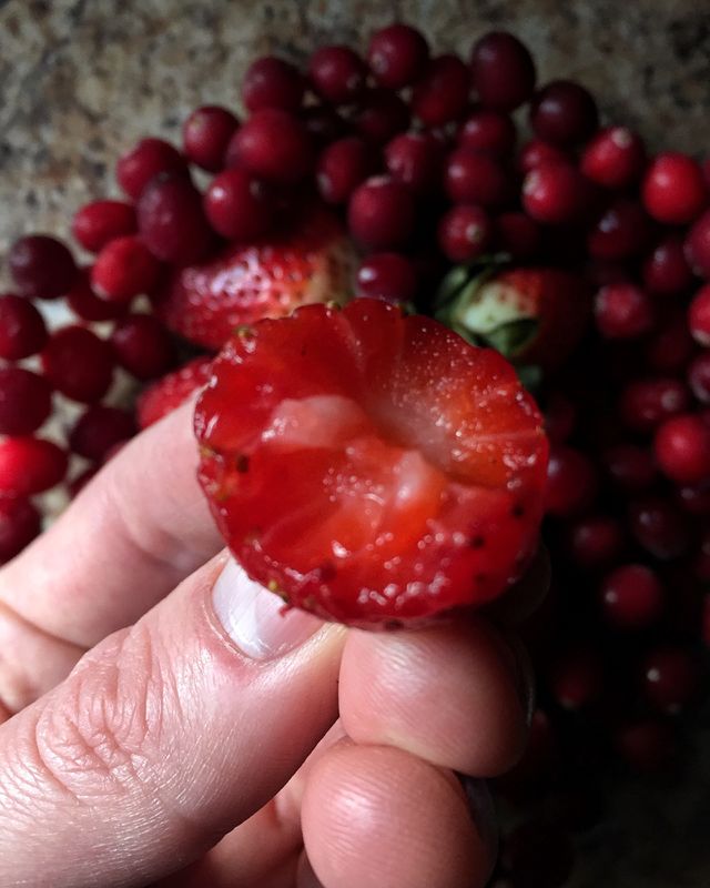Hand holding strawberry