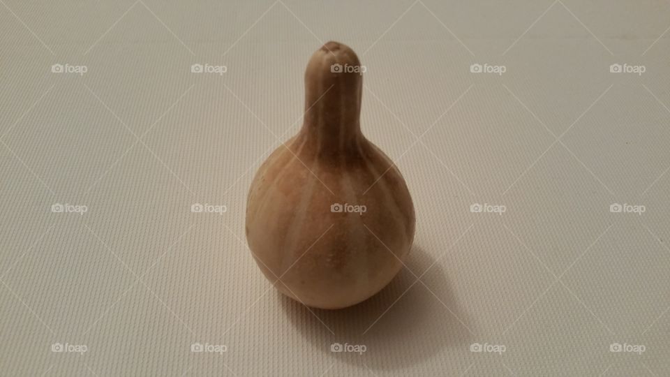 Gourd