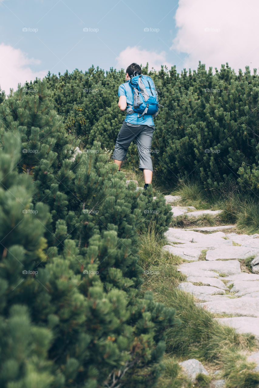 Summer hike. Teenager hiking among the dwarf mountain pine in The Tatra Mountains