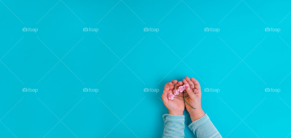 Hands of little girl with pink flowers on blue background. Conceptual. Top view. Copy space. Banner