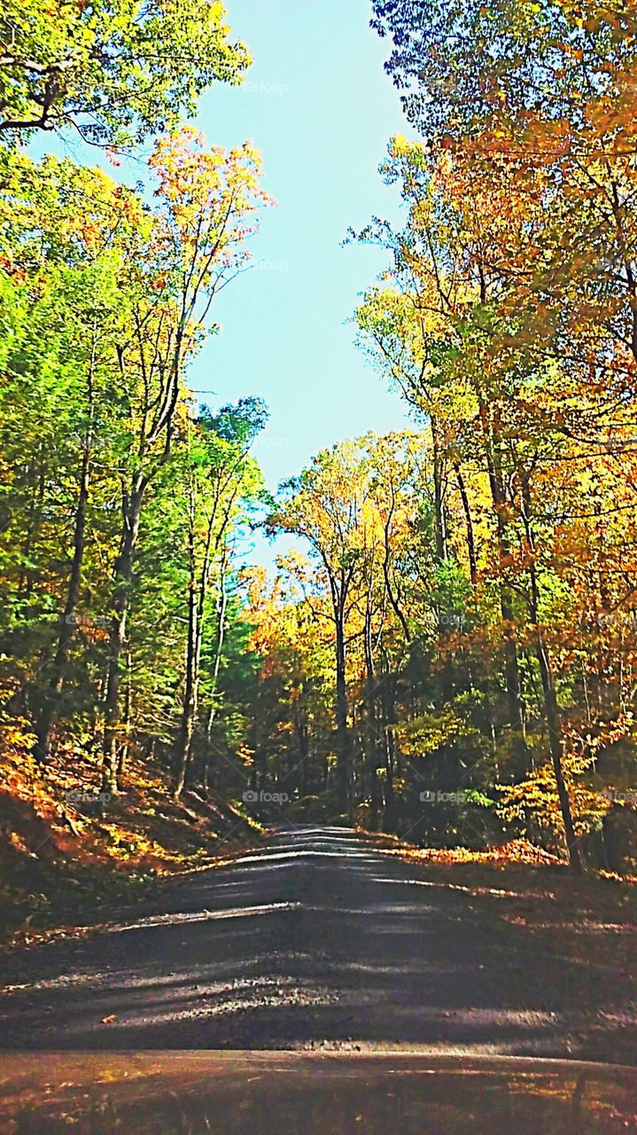 fall weather on the dirt road