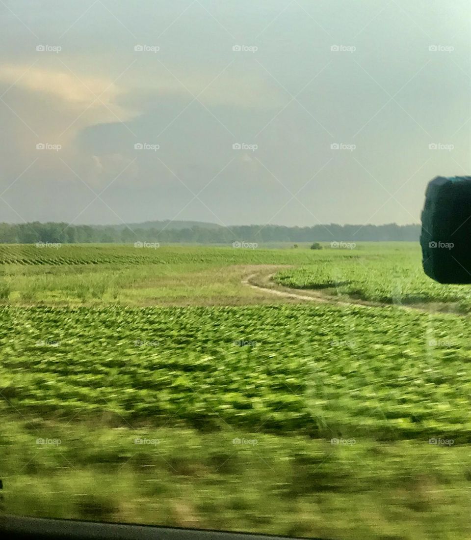 So so so pretty. I love this I’m so proud of how this turned out. 