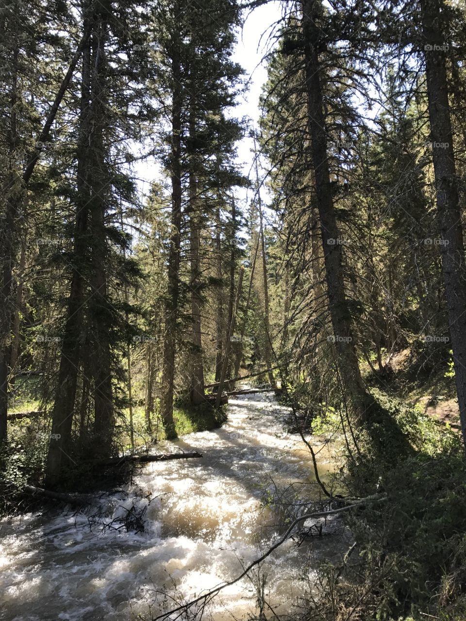 River at Cache trail