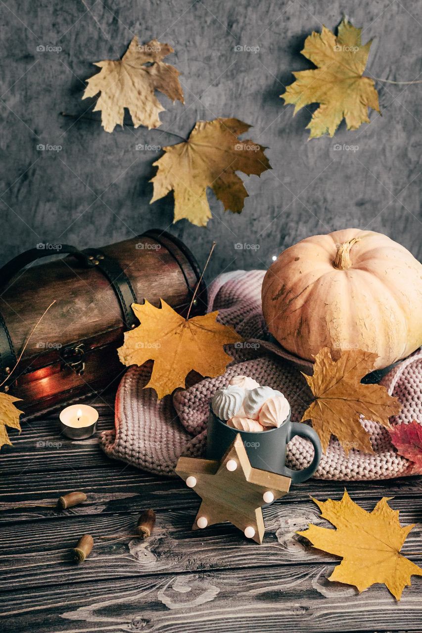 Autumn season view of halloween pumpkins on gray background with sweets and wooden chest 