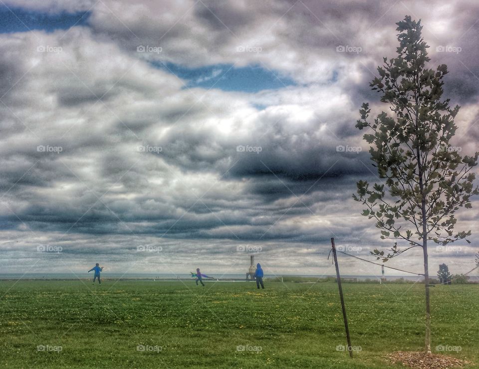 Kite Flying. Launching the Kite on a Windy Day