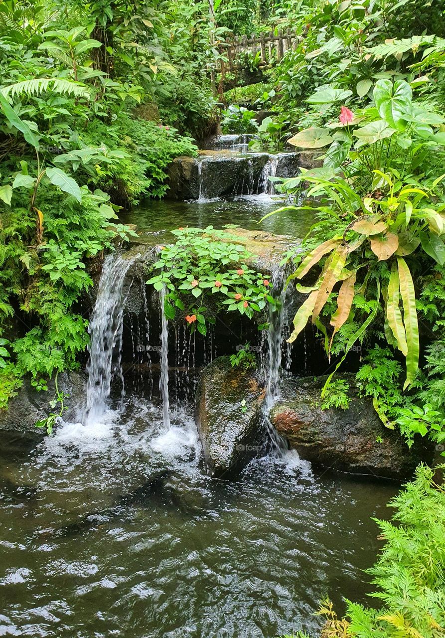 Man-made Waterfall at Butterfly Park