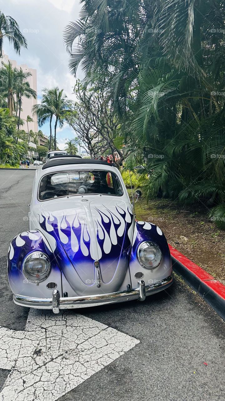  VW  Bug