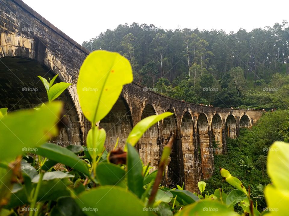 nine arch bridge  in  Ella, Sri Lanka