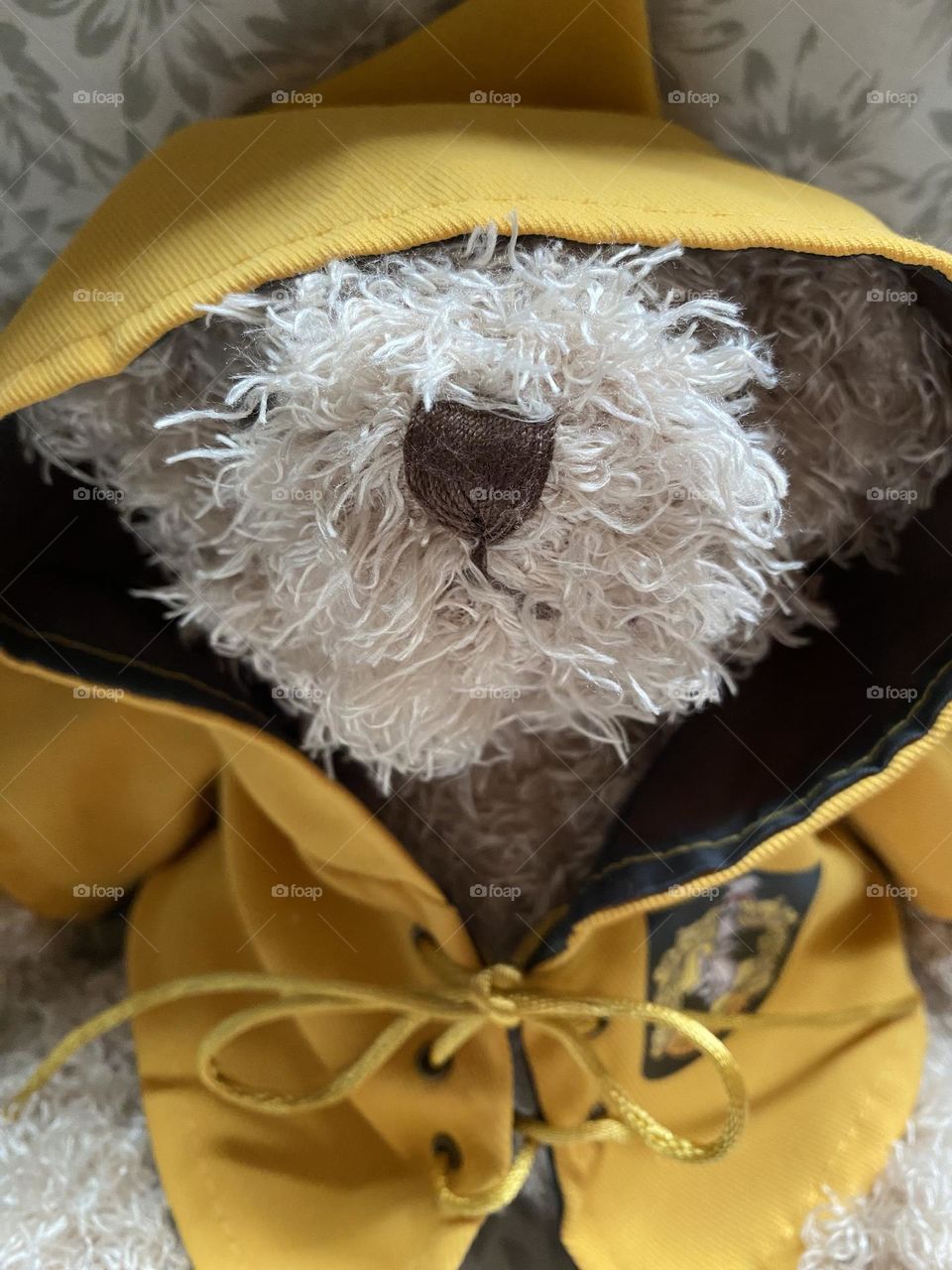 Teddy bear in yellow coat