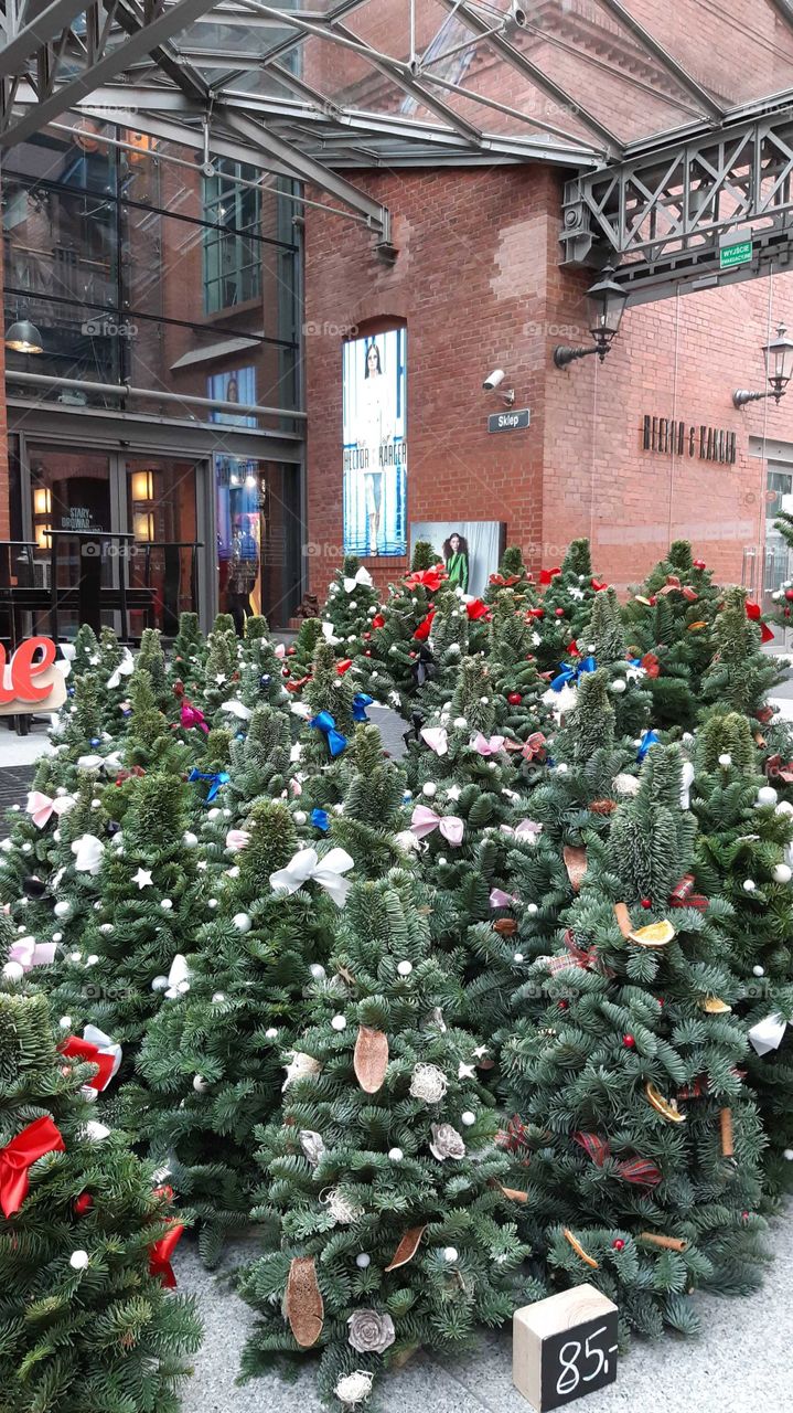 Christmas, Tree, Winter, No Person, Decoration