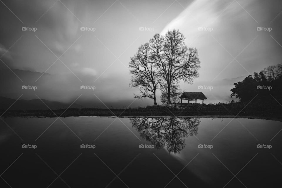 Winter in Choan Then village with reflection of twins tree