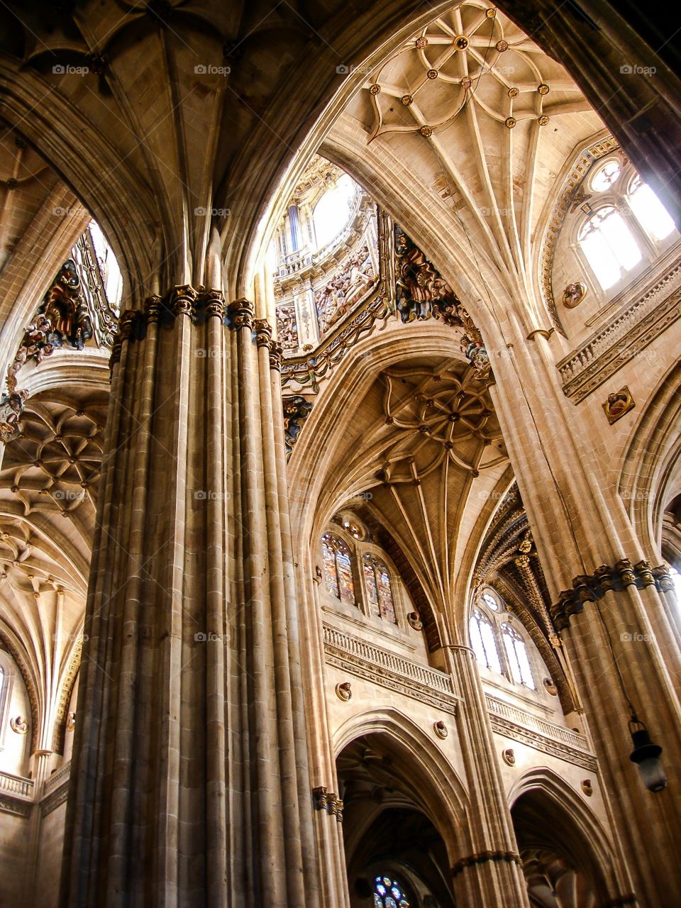 Catedral Nueva de Salamanca. Interior de la Catedral de Salamanca (Salamanca - Spain)