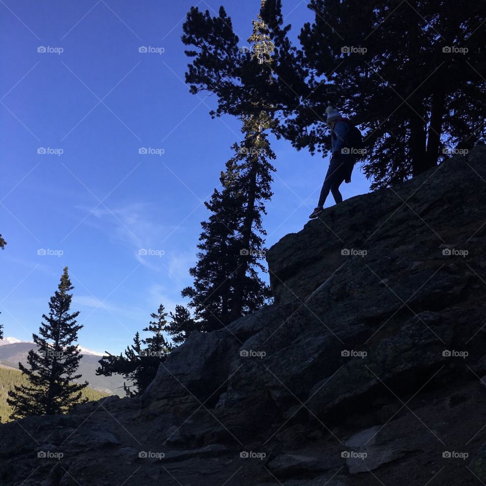 No Person, Mountain, Landscape, Conifer, Snow