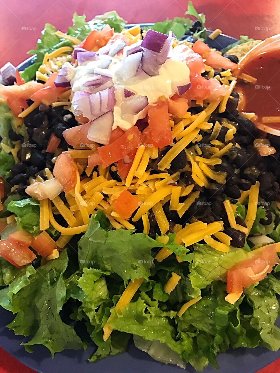 Fresh Black Bean Salad with Spicy Sauce 