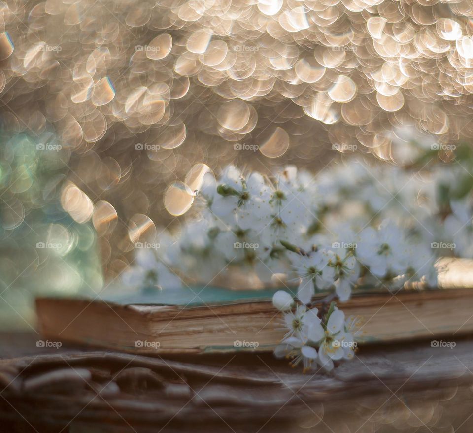 Cherry blossom branch with light sparkle. Manual helios lense