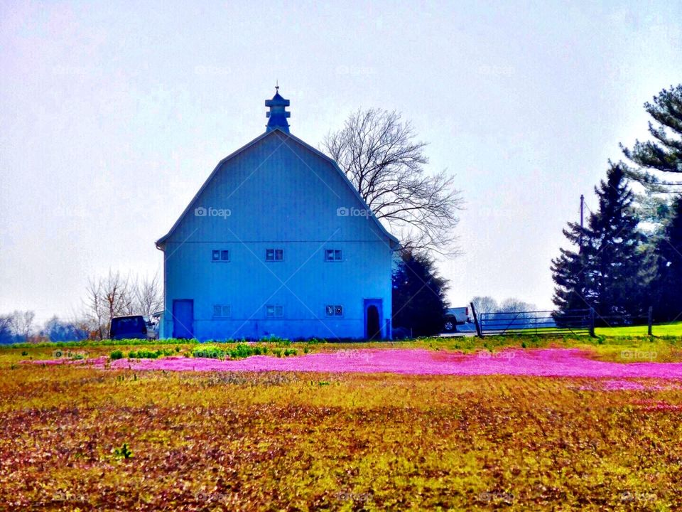 Spring barn 