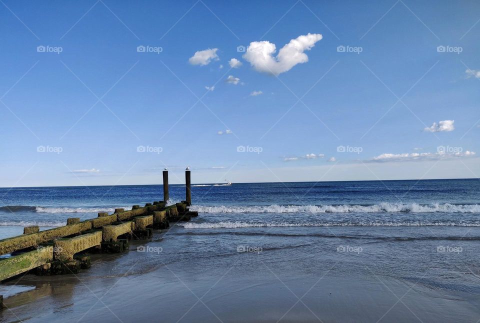 Love is in the Air
Picture of heart Shaped cloud at sea nd also Love Birds along with it
View from ground level to up above the Sky