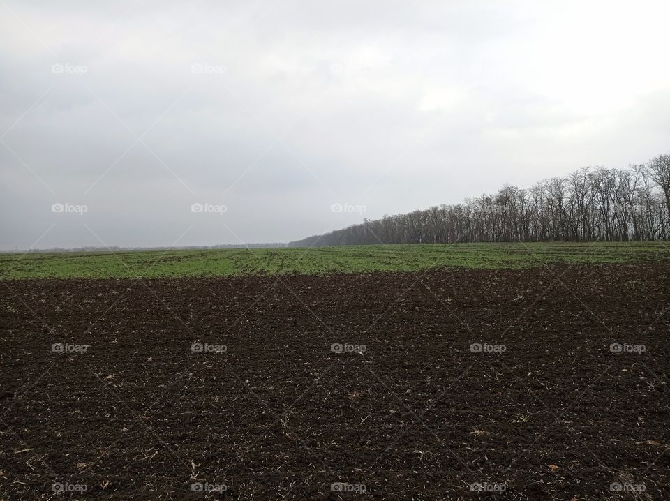 Endless agricultural fields.