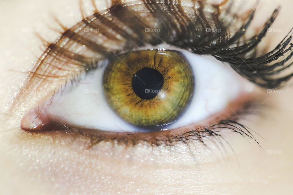 Beautiful and detailed hazel-green eye