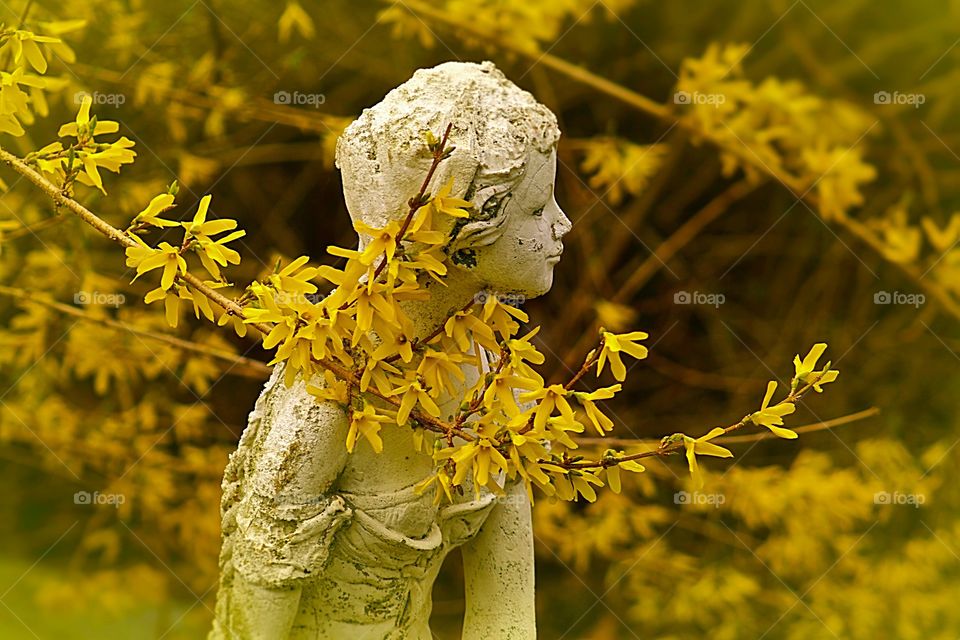 The Garden of Yellow. The Garden of Yellow