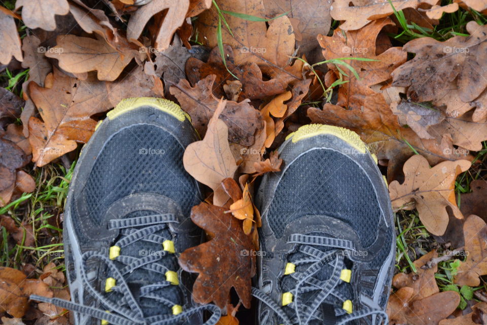 Running in autumn