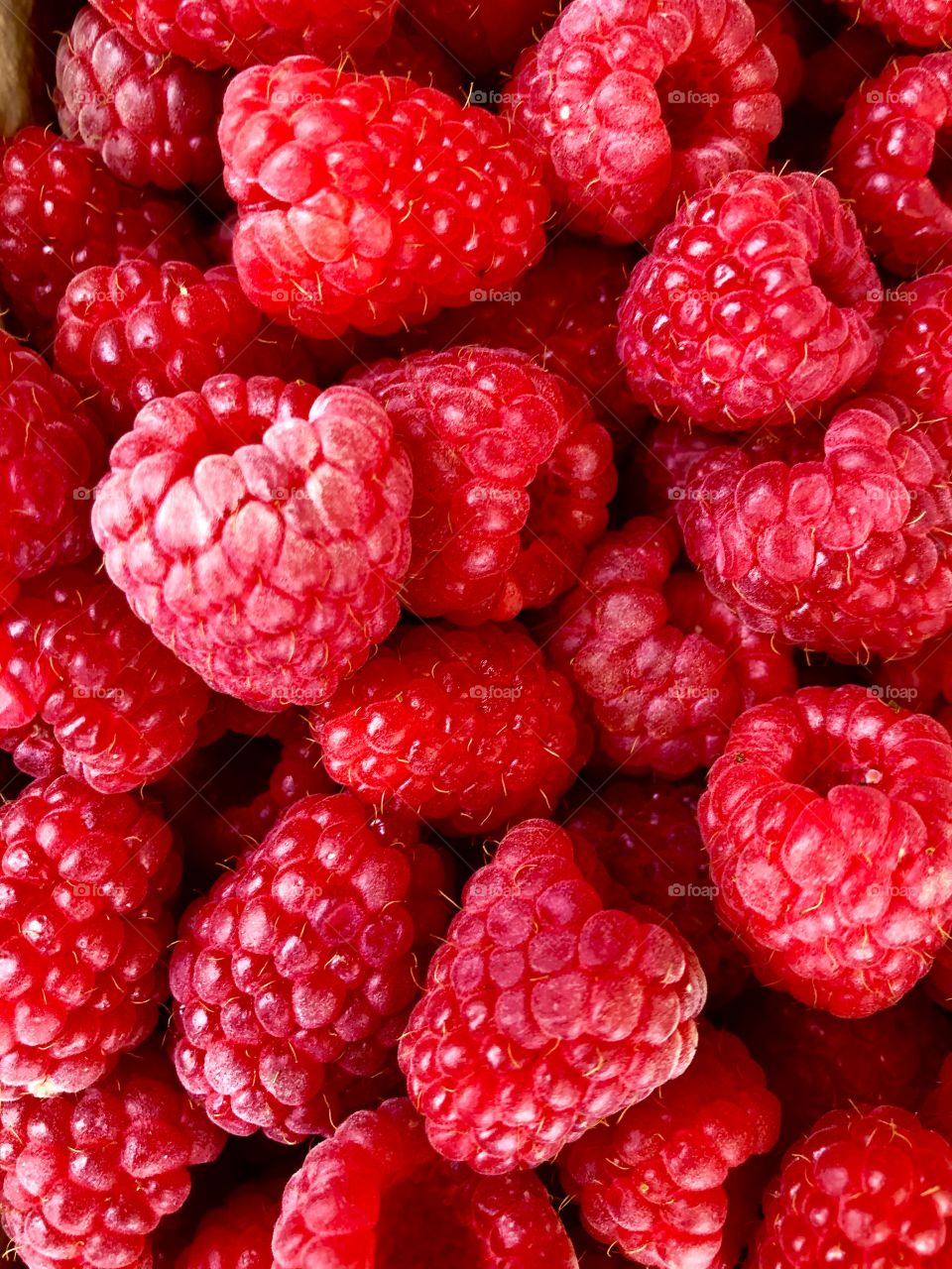 Raspberries