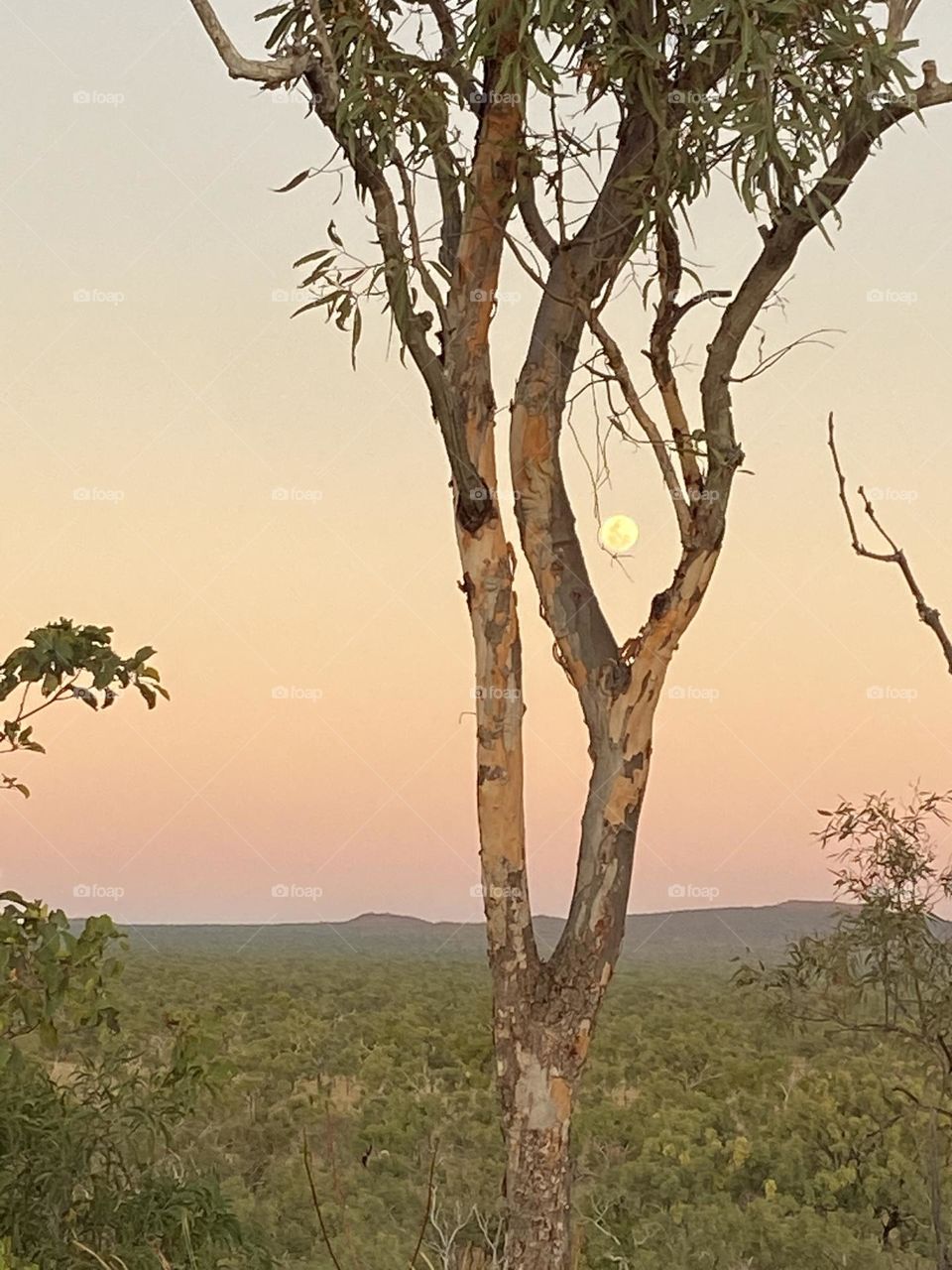 Moon Rising over Undara Caldera 2