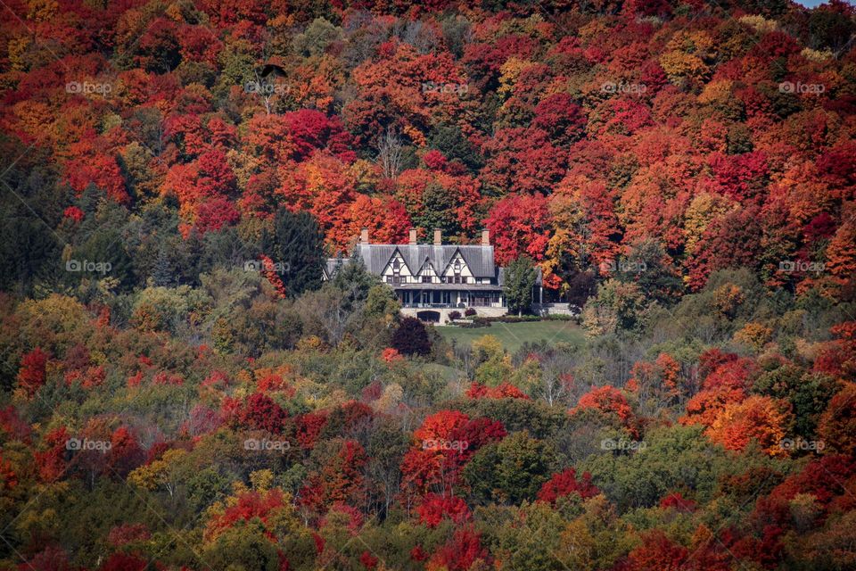 Cottage among gorgeous autumn foliage