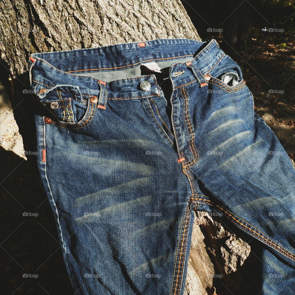 jeans lying on the tree