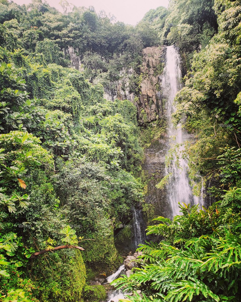 Stunning waterfall in Maui, Hawaii