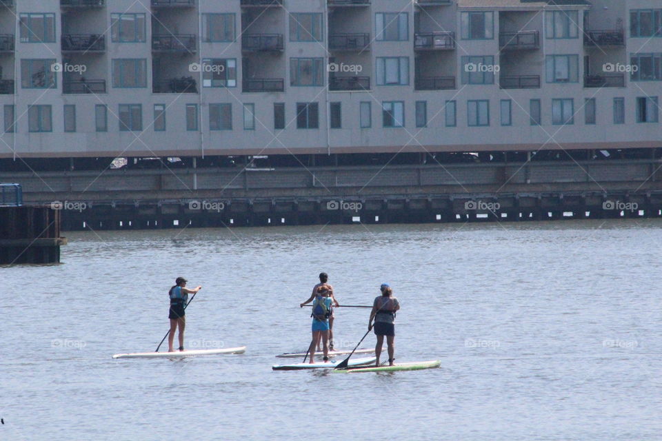 Four Paddleboarders on Hudson River in June 