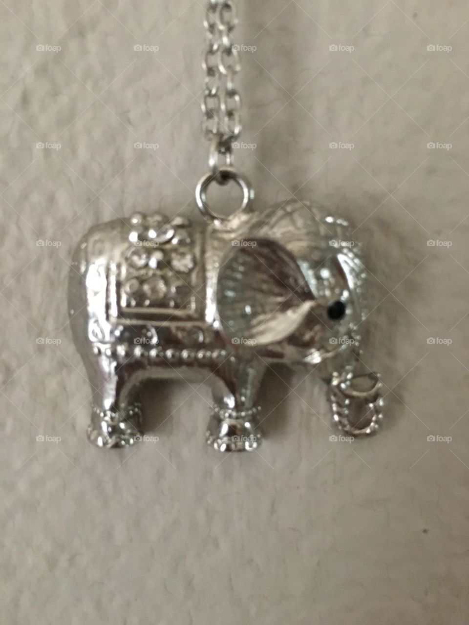 Hun elefante en una cadena

