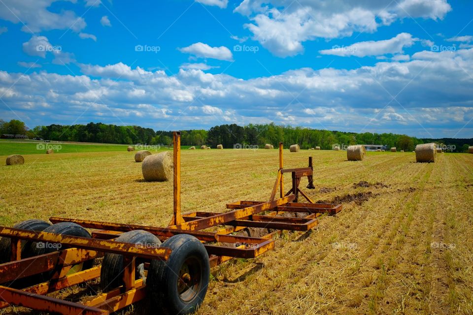 A hay trailer in a field of freshly baled hay in North Carolina. Blue sky speckled with low cumulus clouds. 