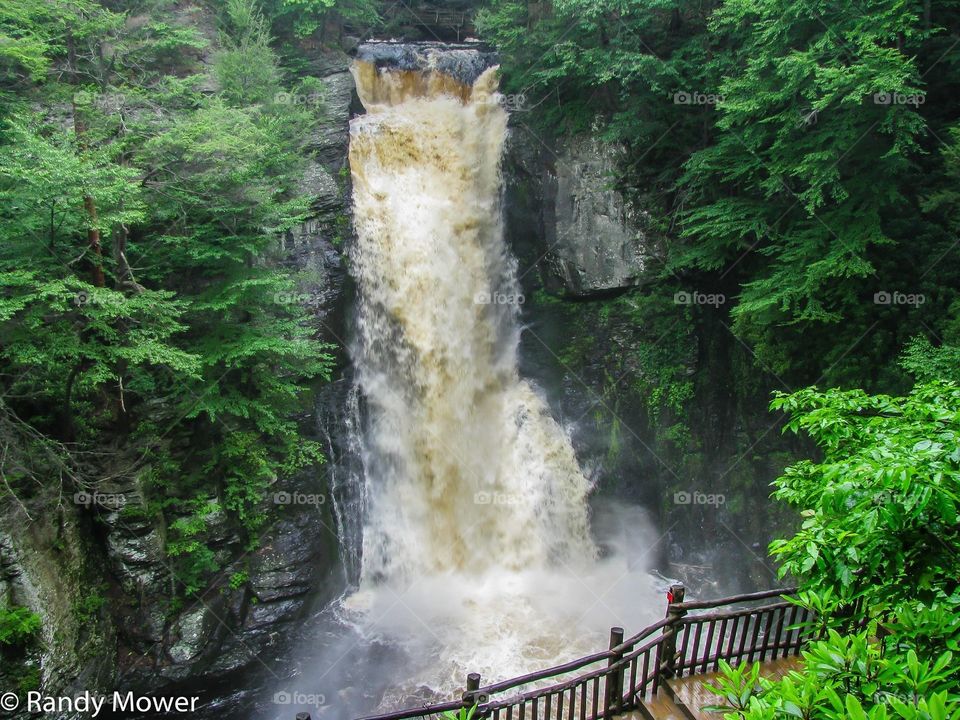 Bushkill Falls