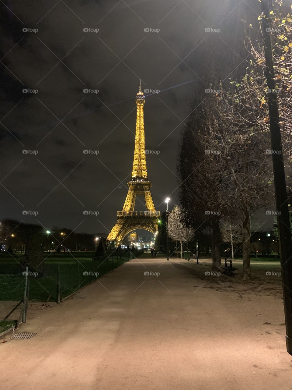 Eiffel Tower at night
